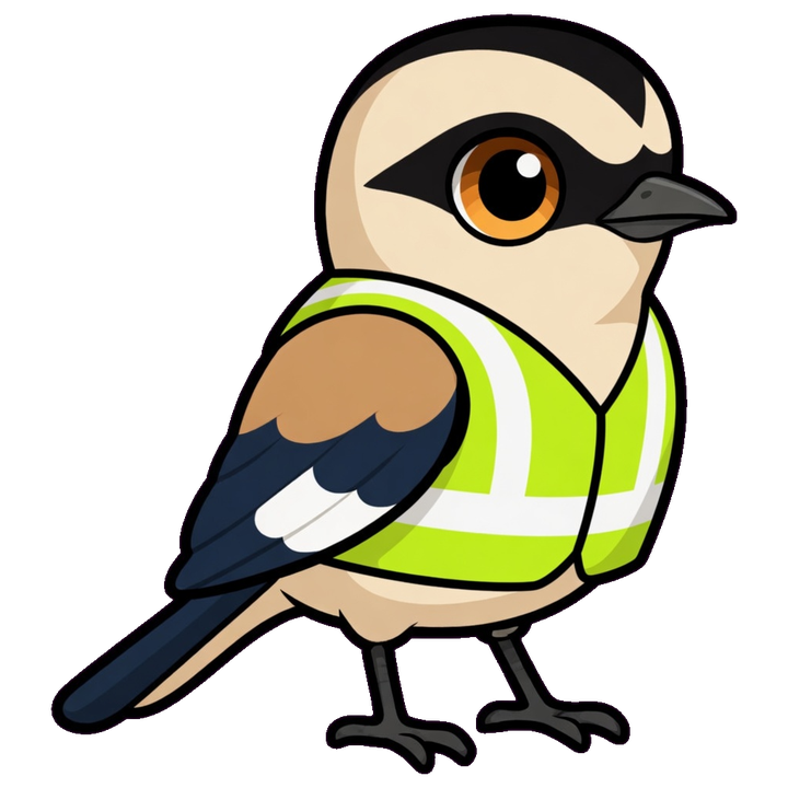 hi-vis vest