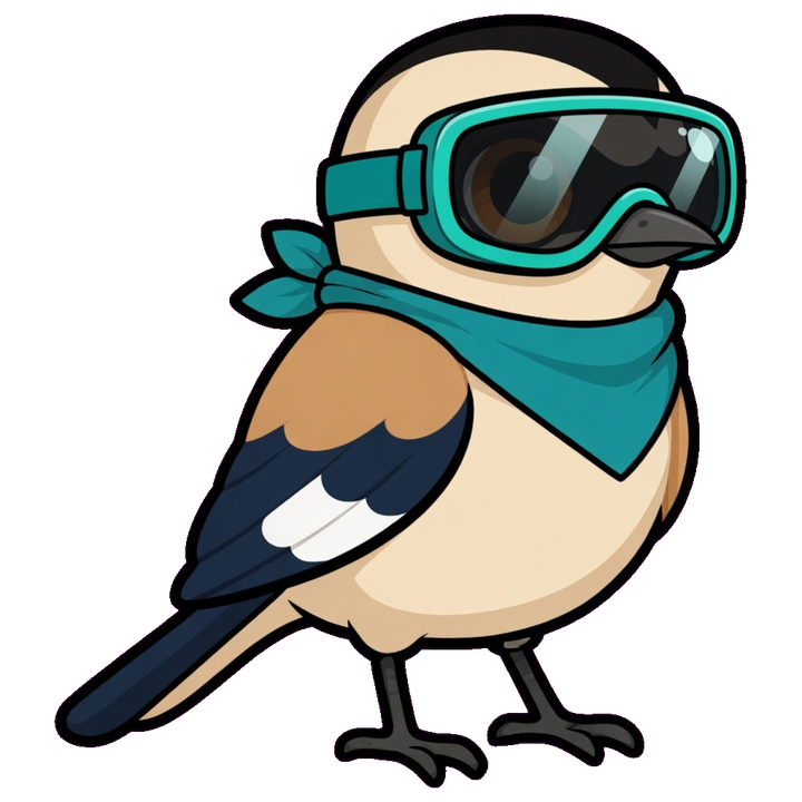 ski goggles